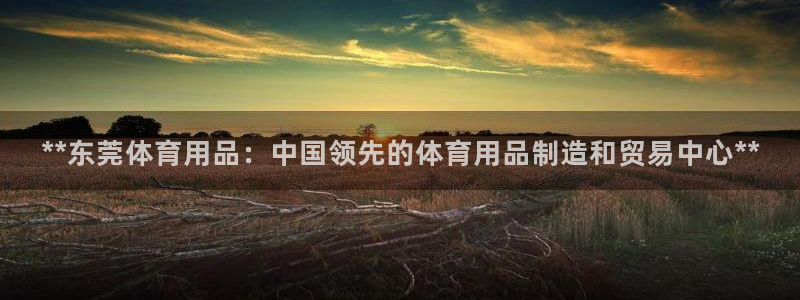 欧陆娱乐百科：**东莞体育用品：中国领先的体育用品制