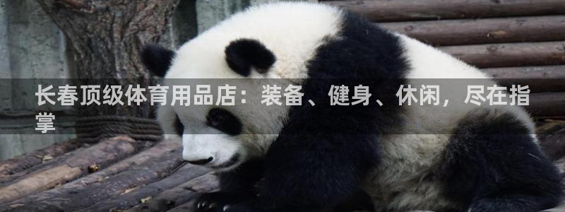 欧陆娱乐是真的假的：长春顶级体育用品店：装备、健身、