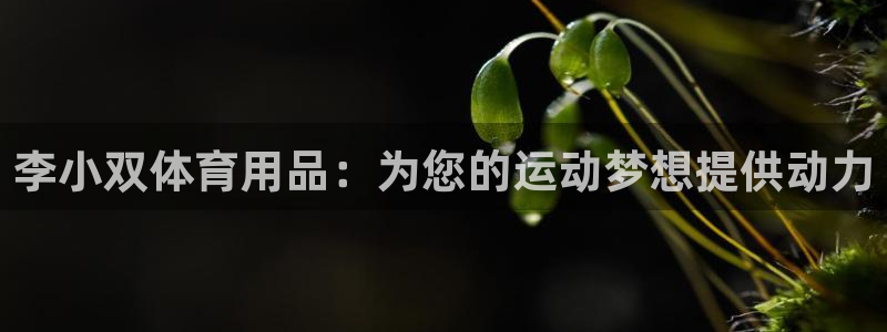 欧陆娱乐合法吗：李小双体育用品：为您的运动梦想提供动