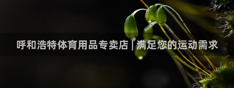 欧陆娱乐是什么：呼和浩特体育用品专卖店 | 满足您的