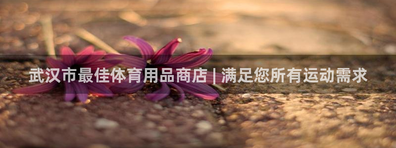欧陆娱乐登陆平台官网：武汉市最佳体育用品商店 | 满