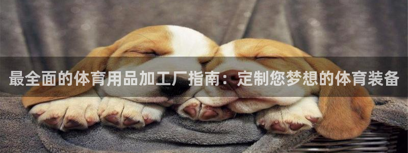 欧陆娱乐怎么注册：最全面的体育用品加工厂指南：定制您