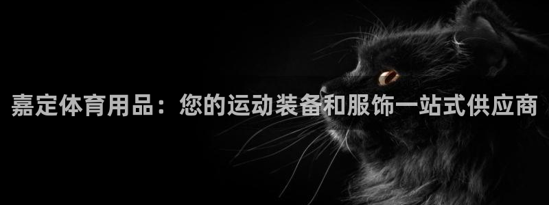欧陆娱乐微信：嘉定体育用品：您的运动装备和服饰一站式
