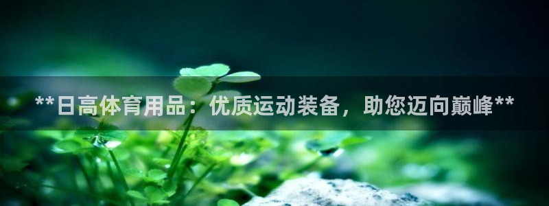 欧陆娱乐官网入口下载：**日高体育用品：优质运动装备