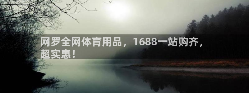 欧陆娱乐app打不开怎么回事：网罗全网体育用品，16