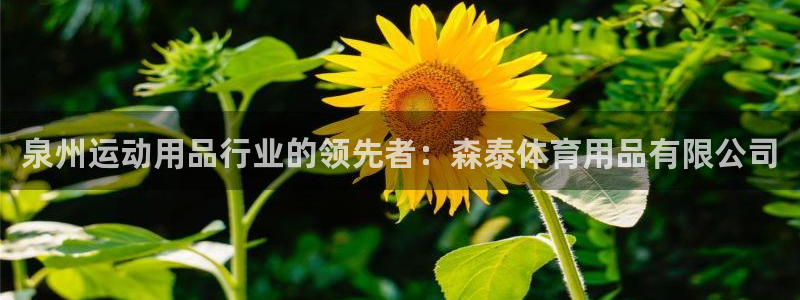 欧陆娱乐官网下载安装：泉州运动用品行业的领先者：森泰
