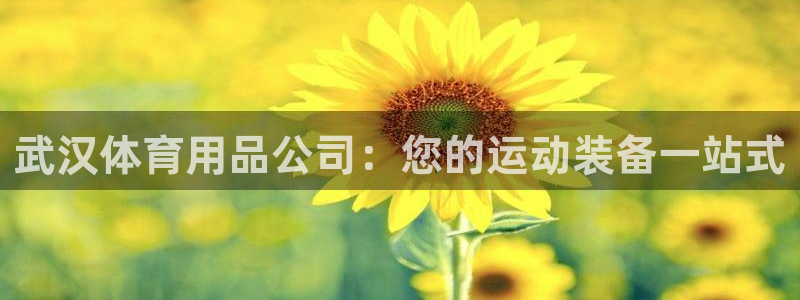 欧陆娱乐有限公司怎么样：武汉体育用品公司：您的运动装