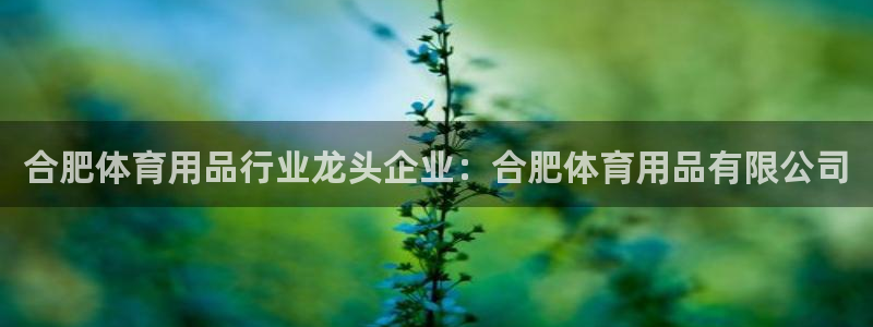 欧陆娱乐平台登陆地址是什么样的：合肥体育用品行业龙头