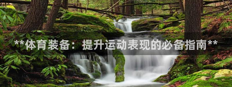 欧陆娱乐平台总代理：**体育装备：提升运动表现的必备