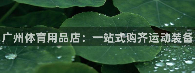 欧陆娱乐平台登录不上去了：广州体育用品店：一站式购齐