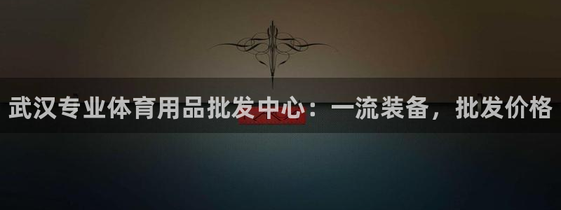 欧陆娱乐公司产品介绍：武汉专业体育用品批发中心：一流
