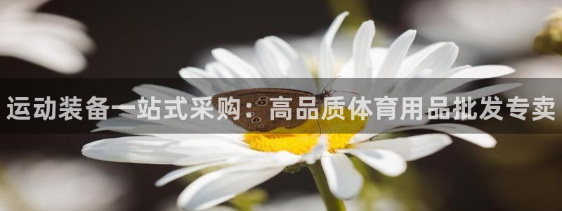 欧陆娱乐测试官网：运动装备一站式采购：高品质体育用品