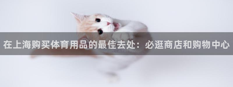 欧陆注册登录入口：在上海购买体育用品的最佳去处：必逛