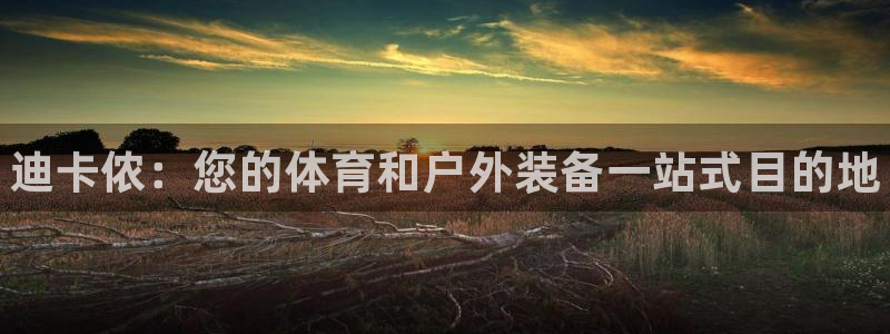 欧陆娱乐总代理是谁：迪卡侬：您的体育和户外装备一站式