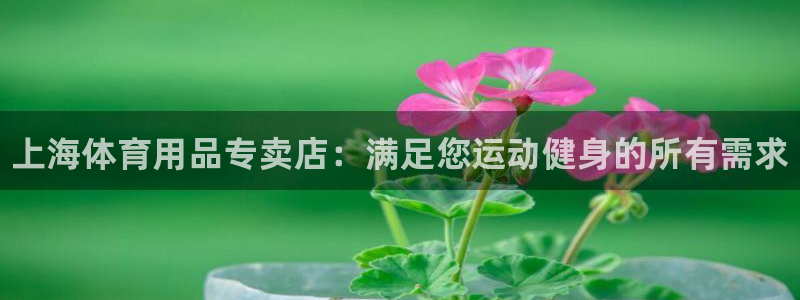 欧陆娱乐平台登陆地址是什么：上海体育用品专卖店：满足