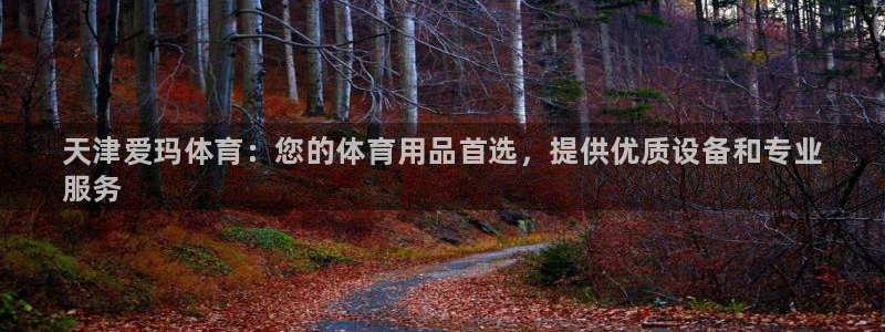 欧陆娱乐能不能玩手游：天津爱玛体育：您的体育用品首选
