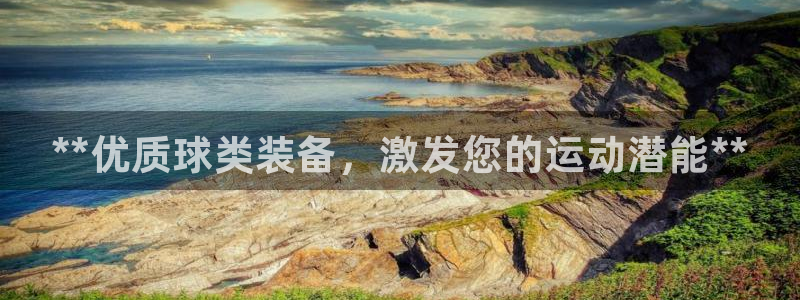 欧陆娱乐的故事：**优质球类装备，激发您的运动潜能*