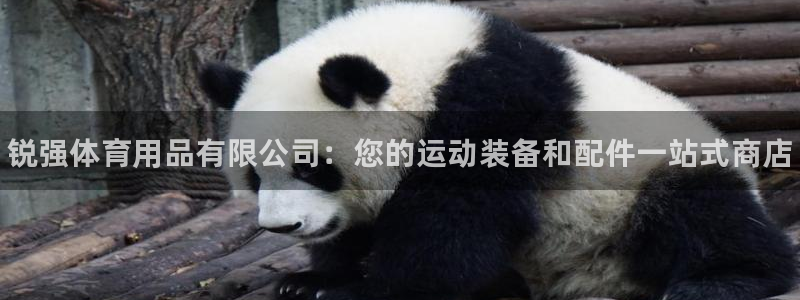 欧陆娱乐代理多少个点位合适：锐强体育用品有限公司：您的运动装