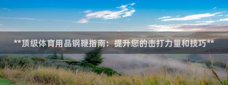 欧陆娱乐官方网站首页:**顶级体育用品钢鞭指南:提升您的击打