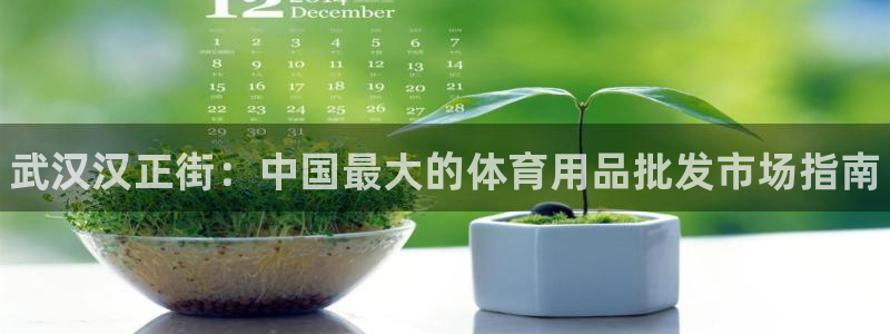 欧陆娱乐平台登录：武汉汉正街：中国最大的体育用品批发市场指南