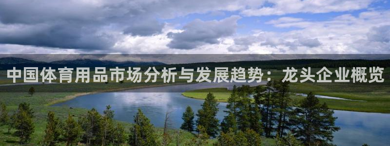 欧陆软件官网：中国体育用品市场分析与发展趋势：龙头企业概览