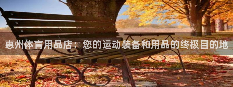 欧陆娱乐测速：惠州体育用品店：您的运动装备和用品的终