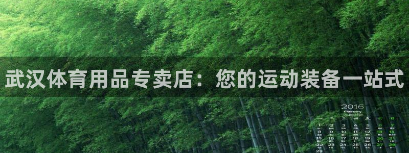 欧陆娱乐图片：武汉体育用品专卖店：您的运动装备一站式