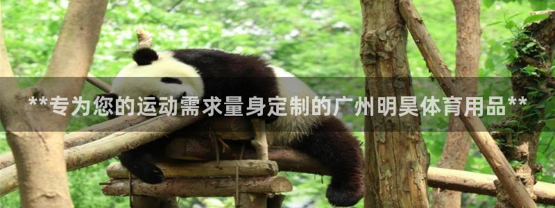 欧陆娱乐官方下载安装：**专为您的运动需求量身定制的