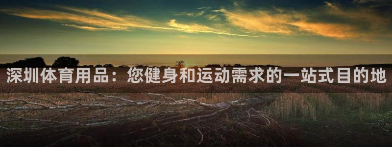 欧陆娱乐平台登陆地址在哪：深圳体育用品：您健身和运动