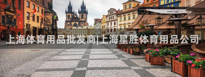 欧陆娱乐是那个旗下的品牌公司：上海体育用品批发商|上