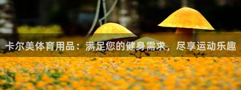 欧陆娱乐官网下载安装最新版本