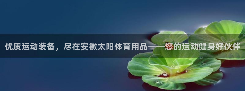 欧陆娱乐总代理电话：优质运动装备，尽在安徽太阳体育用品——您
