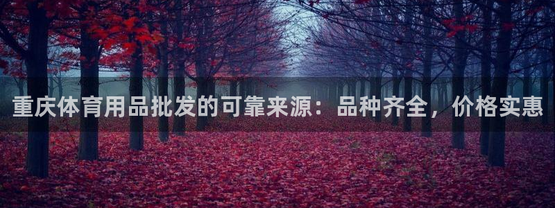 欧陆娱乐登录测速软件：重庆体育用品批发的可靠来源：品种齐全，