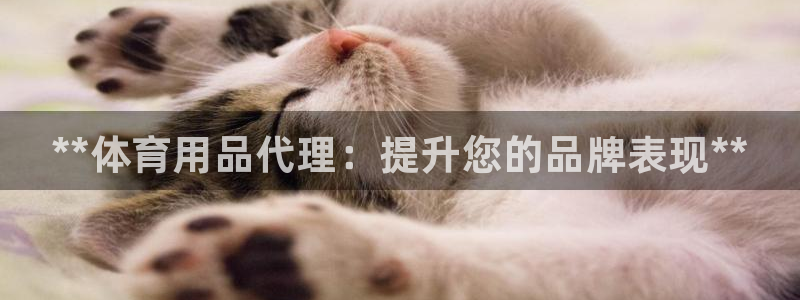 重庆欧陆娱乐有限公司地址：**体育用品代理：提升您的品牌表现